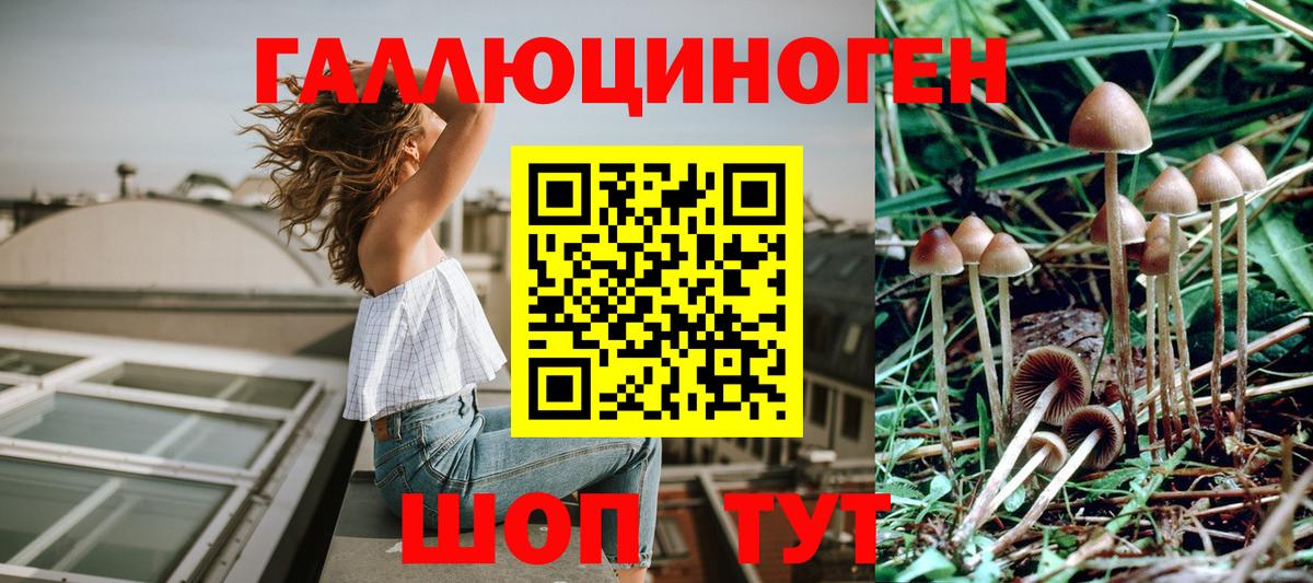 Галлюциногенные грибы Psilocybe  Вход с VPN  Приморско-Ахтарск 