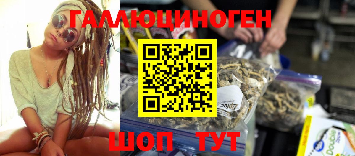 Псилоцибиновые грибы мухоморы Приморско-Ахтарск